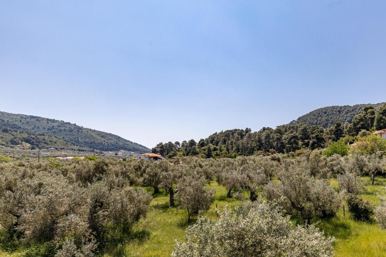 Estia A - & Apartment *